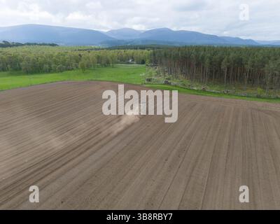 Un trattore che utilizza un rullo o un imballatore su un campo vicino ad Aviemore, in Scozia, creando una nuvola di polvere di erosione del suolo Foto Stock