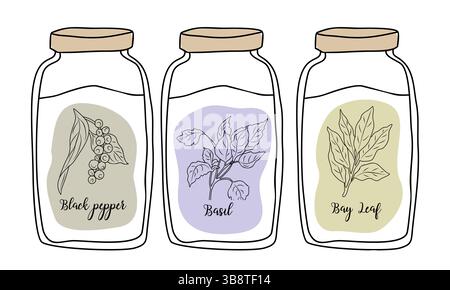 Set di vasetti di spezie con etichette disegnate a mano Illustrazione Vettoriale