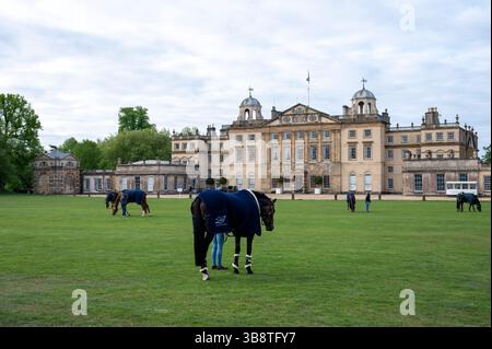 Bristol, Regno Unito. 8 maggio 2025. 8 maggio 2025 cavalli pascolano di fronte a Badminton House il primo giorno delle 2025 Mars Badminton Horse Trials a Badminton House vicino Bristol, Gloucestershire, Inghilterra, Regno Unito. Credito: Jonathan Clarke/Alamy Live News Foto Stock