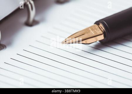 Penna in metallo sulla carta rigata nel notebook Foto Stock
