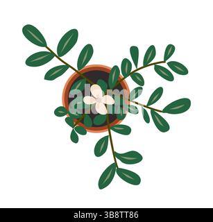 Icona del vettore della vista dall'alto dell'impianto della casa in fiore in vaso Illustrazione Vettoriale