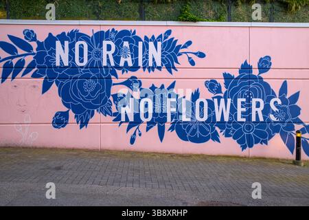 Il murale "No Rain No Flowers" lungo un vicolo a Mount Pleasant, Vancouver, British Columbia. Foto Stock