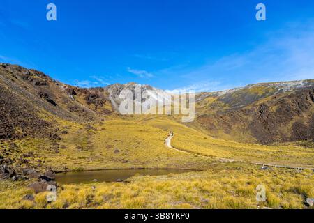 Tre persone che camminano sul Kepler Track al mattino, una delle grandi passeggiate della nuova Zelanda. Fiordland National Park, Southland, nuova Zelanda. Foto Stock