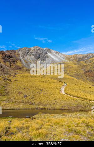 Tre persone che camminano sul Kepler Track al mattino, una delle grandi passeggiate della nuova Zelanda. Fiordland National Park, Southland, nuova Zelanda. Foto Stock