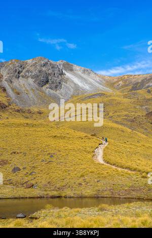 Tre persone che camminano sul Kepler Track al mattino, una delle grandi passeggiate della nuova Zelanda. Fiordland National Park, Southland, nuova Zelanda. Foto Stock
