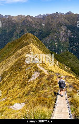 Vista di una donna tramviera su un crinale sul Kepler Track al mattino, una delle grandi passeggiate della nuova Zelanda. Fiordland National Park, Southland, New Zeala Foto Stock