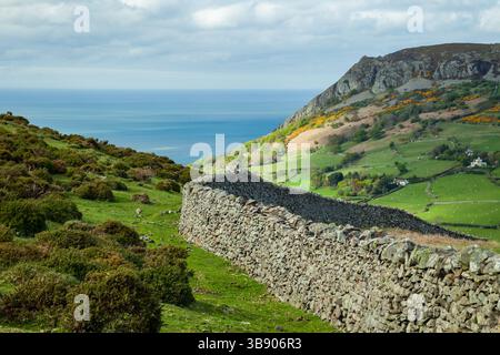 Pomeriggio primaverile nella campagna gallese, Conwy. Foto Stock