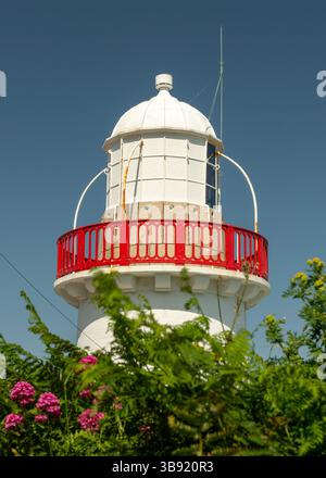 Faro di Youghal nella contea di Cork, Irlanda, visto attraverso la vegetazione primaverile contro un cielo azzurro Foto Stock