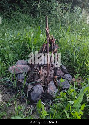 Legno per falò e pietre in natura su erba. Falò e campeggio. Foto Stock