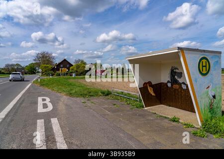 Fermata dell'autobus in campagna, basso Reno, fermata dello scuolabus, progettata individualmente, vicino all'Alpe, Renania settentrionale-Vestfalia, Germania, Foto Stock