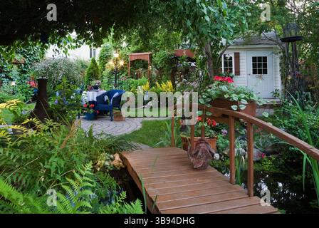 Pteridophyta - piante di felce con sovrastante Malus 'Royal Beauty', Malus 'Liberty' - foglie di mele su ponte pedonale in legno marrone nel giardino sul retro. Foto Stock