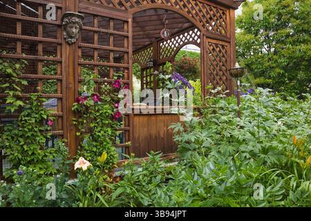 Fiori Clematis "Cardinale" di colore rosso intenso che crescono su pergola di legno marrone, Hemerocallis 'Cape Cod' - Daylily e viola Delphinium 'Black Night' in Border. Foto Stock