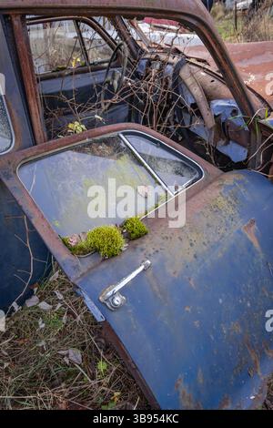 Bastnas, Varmland, Svezia. 3 novembre 2024. Auto snodate al Cimitero delle Bastnas Car. Foto Stock