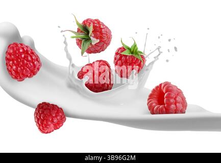 Spruzzi di latte e lamponi freschi all'aria su sfondo bianco Foto Stock
