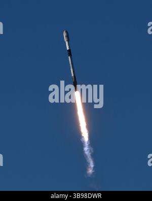 Dopo un ritardo di 48 ore SpaceX Starllink lancia un Falcon 9 con dozzine di satelliti e per la prima volta ceneri di persone nello spazio da Vandenberg SFB, CA/USA, martedì 31 gennaio 2023. Le ceneri 5 persone saranno sul razzo e orbiteranno intorno alla Terra per un massimo di 10 anni, prima di schiantarsi attraverso l'atmosfera e bruciare. Questo è il primo lancio da parte di StardustMe dalla nuova Zelanda di resti umani in orbita Sense 1992, quando una navetta spaziale della NASA trasportò le ceneri del creatore di Star Trek Gene Roddenberry?. (Immagine di credito: © Gene Blevins/ZUMA Press Wire) Foto Stock
