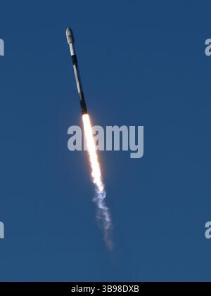 Dopo un ritardo di 48 ore SpaceX Starllink lancia un Falcon 9 con dozzine di satelliti e per la prima volta ceneri di persone nello spazio da Vandenberg SFB, CA/USA, martedì 31 gennaio 2023. Le ceneri 5 persone saranno sul razzo e orbiteranno intorno alla Terra per un massimo di 10 anni, prima di schiantarsi attraverso l'atmosfera e bruciare. Questo è il primo lancio da parte di StardustMe dalla nuova Zelanda di resti umani in orbita Sense 1992, quando una navetta spaziale della NASA trasportò le ceneri del creatore di Star Trek Gene Roddenberry?. (Immagine di credito: © Gene Blevins/ZUMA Press Wire) Foto Stock