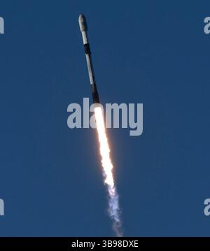 Dopo un ritardo di 48 ore SpaceX Starllink lancia un Falcon 9 con dozzine di satelliti e per la prima volta ceneri di persone nello spazio da Vandenberg SFB, CA/USA, martedì 31 gennaio 2023. Le ceneri 5 persone saranno sul razzo e orbiteranno intorno alla Terra per un massimo di 10 anni, prima di schiantarsi attraverso l'atmosfera e bruciare. Questo è il primo lancio da parte di StardustMe dalla nuova Zelanda di resti umani in orbita Sense 1992, quando una navetta spaziale della NASA trasportò le ceneri del creatore di Star Trek Gene Roddenberry?. (Immagine di credito: © Gene Blevins/ZUMA Press Wire) Foto Stock