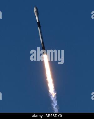 Dopo un ritardo di 48 ore SpaceX Starllink lancia un Falcon 9 con dozzine di satelliti e per la prima volta ceneri di persone nello spazio da Vandenberg SFB, CA/USA, martedì 31 gennaio 2023. Le ceneri 5 persone saranno sul razzo e orbiteranno intorno alla Terra per un massimo di 10 anni, prima di schiantarsi attraverso l'atmosfera e bruciare. Questo è il primo lancio da parte di StardustMe dalla nuova Zelanda di resti umani in orbita Sense 1992, quando una navetta spaziale della NASA trasportò le ceneri del creatore di Star Trek Gene Roddenberry?. (Immagine di credito: © Gene Blevins/ZUMA Press Wire) Foto Stock