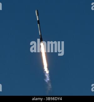 Dopo un ritardo di 48 ore SpaceX Starllink lancia un Falcon 9 con dozzine di satelliti e per la prima volta ceneri di persone nello spazio da Vandenberg SFB, CA/USA, martedì 31 gennaio 2023. Le ceneri 5 persone saranno sul razzo e orbiteranno intorno alla Terra per un massimo di 10 anni, prima di schiantarsi attraverso l'atmosfera e bruciare. Questo è il primo lancio da parte di StardustMe dalla nuova Zelanda di resti umani in orbita Sense 1992, quando una navetta spaziale della NASA trasportò le ceneri del creatore di Star Trek Gene Roddenberry?. (Immagine di credito: © Gene Blevins/ZUMA Press Wire) Foto Stock