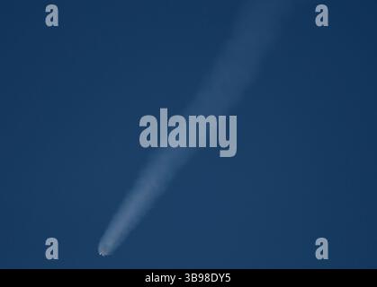 Dopo un ritardo di 48 ore SpaceX Starllink lancia un Falcon 9 con dozzine di satelliti e per la prima volta ceneri di persone nello spazio da Vandenberg SFB, CA/USA, martedì 31 gennaio 2023. Le ceneri 5 persone saranno sul razzo e orbiteranno intorno alla Terra per un massimo di 10 anni, prima di schiantarsi attraverso l'atmosfera e bruciare. Questo è il primo lancio da parte di StardustMe dalla nuova Zelanda di resti umani in orbita Sense 1992, quando una navetta spaziale della NASA trasportò le ceneri del creatore di Star Trek Gene Roddenberry?. (Immagine di credito: © Gene Blevins/ZUMA Press Wire) Foto Stock