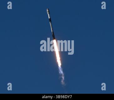 31 gennaio 2023: Dopo un ritardo di 48 ore SpaceX Starllink lancia un Falcon 9 con dozzine di satelliti e per la prima volta ceneri di persone nello spazio da Vandenberg SFB, CA/USA. Le ceneri 5 persone saranno sul razzo e orbiteranno intorno alla Terra per un massimo di 10 anni, prima di schiantarsi attraverso l'atmosfera e bruciare. Questo è il primo lancio di resti umani dalla nuova Zelanda in orbita Sense 1992, quando una navetta spaziale della NASA trasportò le ceneri del creatore di Star Trek Gene Roddenberry. (Immagine di credito: © Gene Blevins/ZUMA Press Wire) Foto Stock