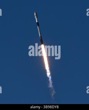 Dopo un ritardo di 48 ore SpaceX Starllink lancia un Falcon 9 con dozzine di satelliti e per la prima volta ceneri di persone nello spazio da Vandenberg SFB, CA/USA, martedì 31 gennaio 2023. Le ceneri 5 persone saranno sul razzo e orbiteranno intorno alla Terra per un massimo di 10 anni, prima di schiantarsi attraverso l'atmosfera e bruciare. Questo è il primo lancio da parte di StardustMe dalla nuova Zelanda di resti umani in orbita Sense 1992, quando una navetta spaziale della NASA trasportò le ceneri del creatore di Star Trek Gene Roddenberry?. (Immagine di credito: © Gene Blevins/ZUMA Press Wire) Foto Stock