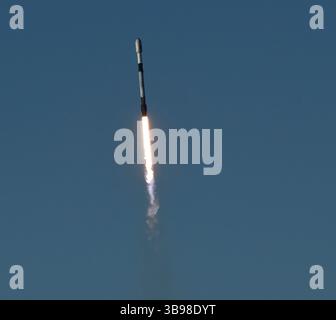 Dopo un ritardo di 48 ore SpaceX Starllink lancia un Falcon 9 con dozzine di satelliti e per la prima volta ceneri di persone nello spazio da Vandenberg SFB, CA/USA, martedì 31 gennaio 2023. Le ceneri 5 persone saranno sul razzo e orbiteranno intorno alla Terra per un massimo di 10 anni, prima di schiantarsi attraverso l'atmosfera e bruciare. Questo è il primo lancio da parte di StardustMe dalla nuova Zelanda di resti umani in orbita Sense 1992, quando una navetta spaziale della NASA trasportò le ceneri del creatore di Star Trek Gene Roddenberry?. (Immagine di credito: © Gene Blevins/ZUMA Press Wire) Foto Stock