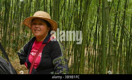 Ritratto di una donna Hmong che indossa abiti tradizionali e un cappello di paglia, in piedi in una foresta di bambù vicino a Sapa, in Vietnam. Foto Stock