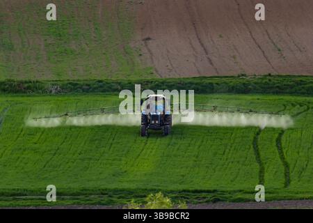 Vista aerea del trattore che spruzza il prodotto in campi verdi con pesticidi. Foto Stock