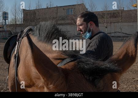 Stalla di cavalli in Iran. Foto Stock