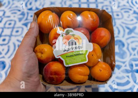 Mano che regge un vassoio di albicocche fresche su una tovaglia con motivi blu e bianchi Foto Stock