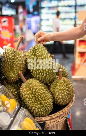Scelta della frutta duriana. Gli acquirenti scelgono il durian al mercato asiatico all'aperto, esaminando la consistenza e la maturazione Foto Stock