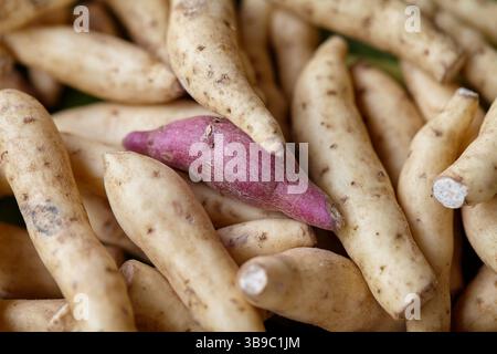 Primo piano di patate dolci viola e bianche Foto Stock