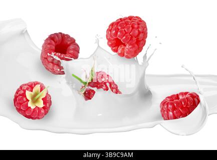 Spruzzi di latte e lamponi freschi all'aria su sfondo bianco Foto Stock