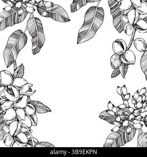 Bordo del ramo del pistacchio con noci e foglie. Illustrazione in bianco e nero vettoriale disegnata a mano Illustrazione Vettoriale