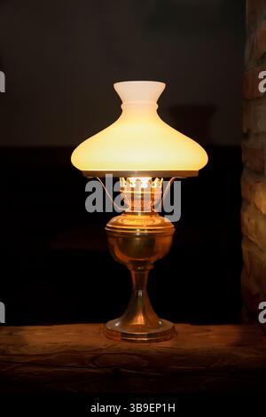 Una piantana su una base realizzata con un palo di legno Foto Stock