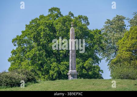obelisco a Kingston, Lacy Dorset, Inghilterra Foto Stock