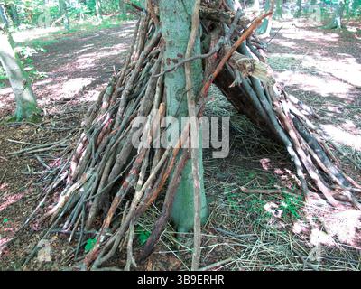 Rifugio autofatto, capanna nella foresta fatta di rami Foto Stock