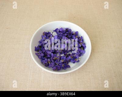 Violette profumate appena raccolte, fiori della viola profumata in una ciotola poco profonda Foto Stock