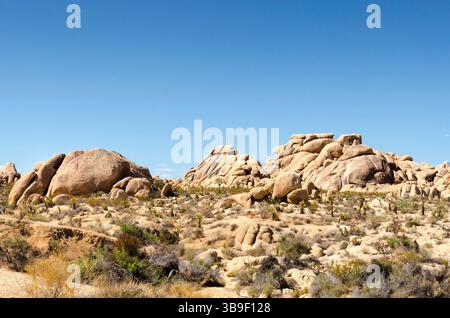 Massi enormi nel Joshua Tree National Park Foto Stock