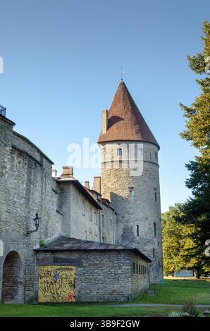 Torre Nunnadetagune come parte delle mura cittadine di Tallinn Foto Stock