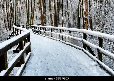 Passerella innevata in una giornata invernale allo Zwischenahner Meer ad Ammerland Foto Stock