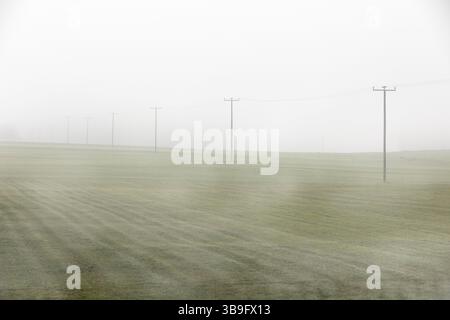 Piloni elettrici in un campo nella nebbia Foto Stock