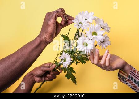 Primo piano di mani diverse, un maschio e una femmina, tenendo delicatamente un fiore su uno sfondo giallo, simboleggiando l'unità, la diversità e la connessione Foto Stock