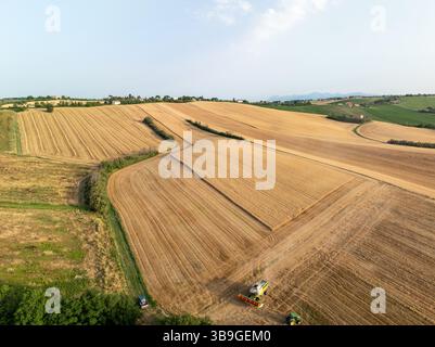 Vista aerea dei campi di grano dorato di Macerata, in Italia, con una mietitrebbia. La luce e le ombre creano un paesaggio agricolo mozzafiato Foto Stock