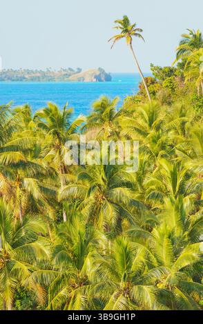 Vista dell'isola Nanuya Lailai, delle isole Yasawa e delle Figi Foto Stock