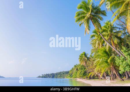Spiaggia tropicale, isola Nanuya Lailai, isole Yasawa, Figi Foto Stock