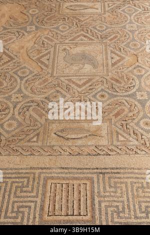 Cipro, Episkopi, Kourion, il sito archeologico di Kourion, la casa di Eustolio, mosaici di pavimento Foto Stock