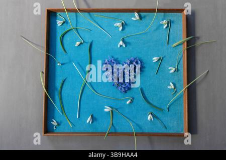 Un cuore fiorito di blu e viola fatto di stelle blu giace in una cornice di legno circondata da gocce di neve bianche in un'elegante disposizione floreale sul tema Foto Stock