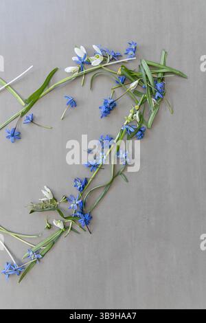 Fiori bluestem appena raccolti disposti a forma di cuore floreale sul tema dell'amore, della festa della mamma, del matrimonio e della decorazione floreale Foto Stock